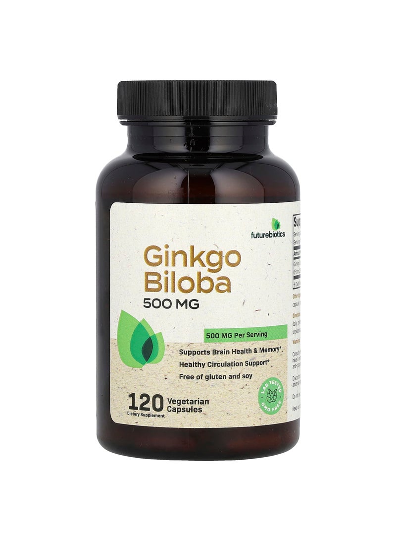 Ginkgo Biloba, 120 Vegetarian Capsules (250 mg per Capsule)